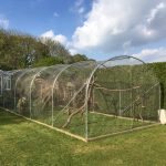 Bird Aviary Mesh outdoor enclosure in garden