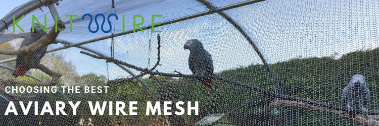 aviary wire mesh with african grey parrots