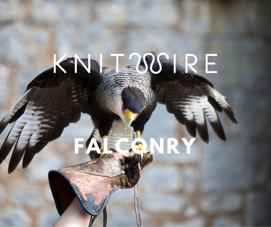 Falconry ClearMesh What is Falconry? A Brief History