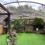 aviary mesh covering garden