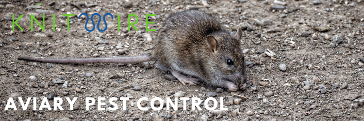 Pest control for aviaries rat banner