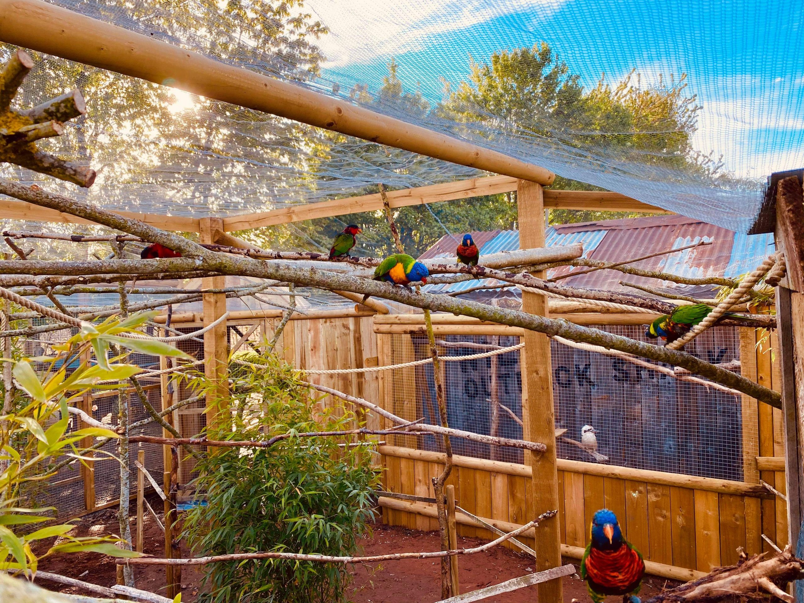 Mesh roof on zoo enclosure for Lorikeets